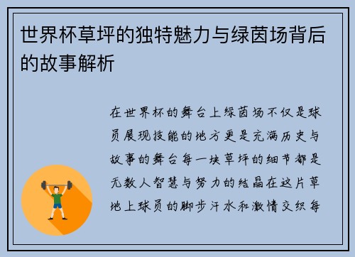 世界杯草坪的独特魅力与绿茵场背后的故事解析